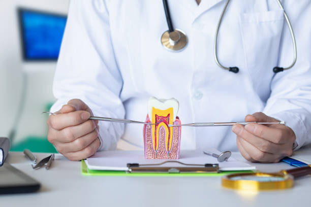 Best Emergency Treatment for Oral Infections in Wabasso Beach, FL
